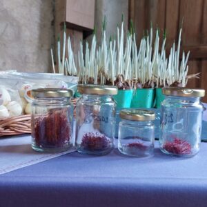 Tagesausflug nach Unterdallersbach