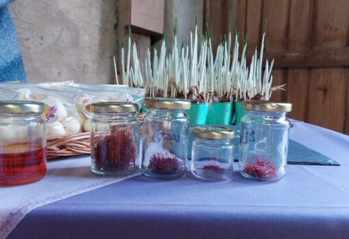 Tagesausflug nach Unterdallersbach